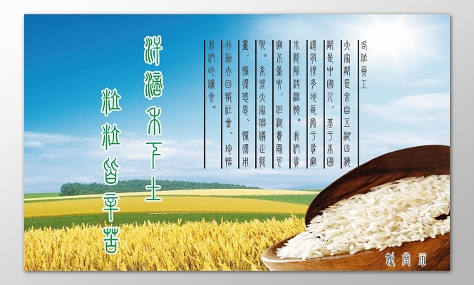 玉米品种粮食种业农产品海报