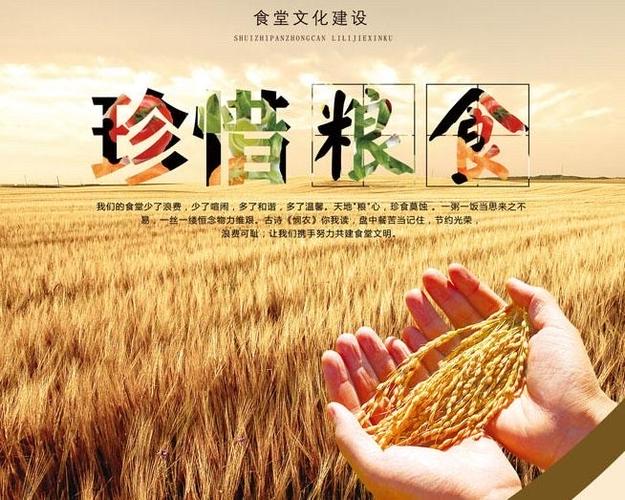创新道德教育助推中国梦———珍惜粮食 - 美篇